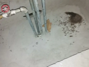 淄博市卫生间测漏水价格明细