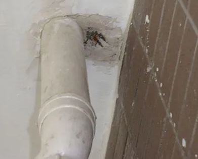 淄博市漏水检测哪家好